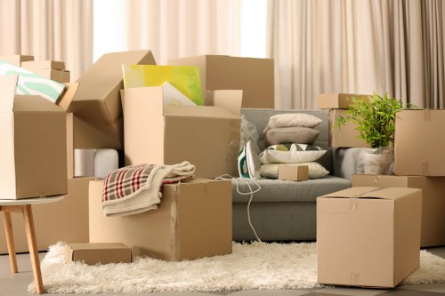 Protective moving equipment used during a removal job