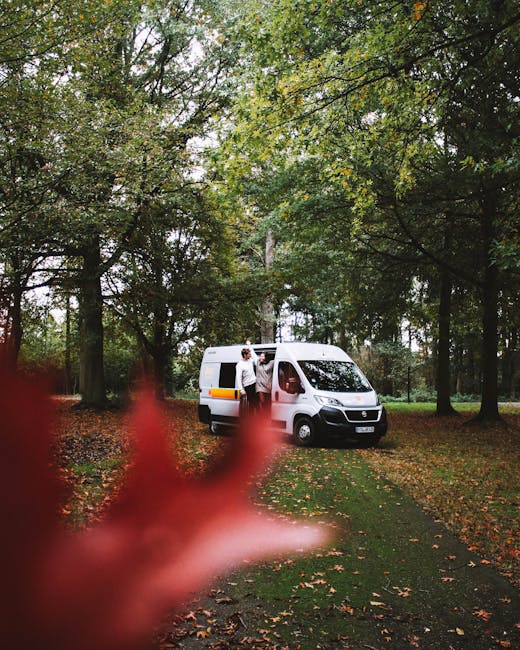 A white cargo van, equipped with an orange stripe along its side, is parked on a grassy area surrounded by tall trees with green and partially yellowing leaves, indicating a park or wooded setting. Two movers are standing near the open side door of the van, handling boxes and packing materials, which include cardboard cartons, tissue paper, and plastic wrapping, suggesting a home relocation or moving process. The van is positioned on a narrow paved path or driveway, with the surrounding environment featuring a mix of fallen leaves and dappled sunlight filtering through the tree canopy. In the foreground, a blurred reddish object, possibly a flower or shrub, partially obstructs the view but does not obscure the scene's main focus. This image reflects the logistical aspects of furniture transport and packing during a professional move, with [COMPANY_NAME] handling the loading process in an outdoor setting, consistent with the context of house removals and access to Highbury Fields, as described in the [PAGE_TITLE].